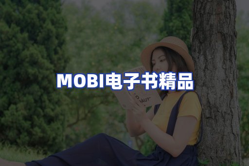 外文电子书产品